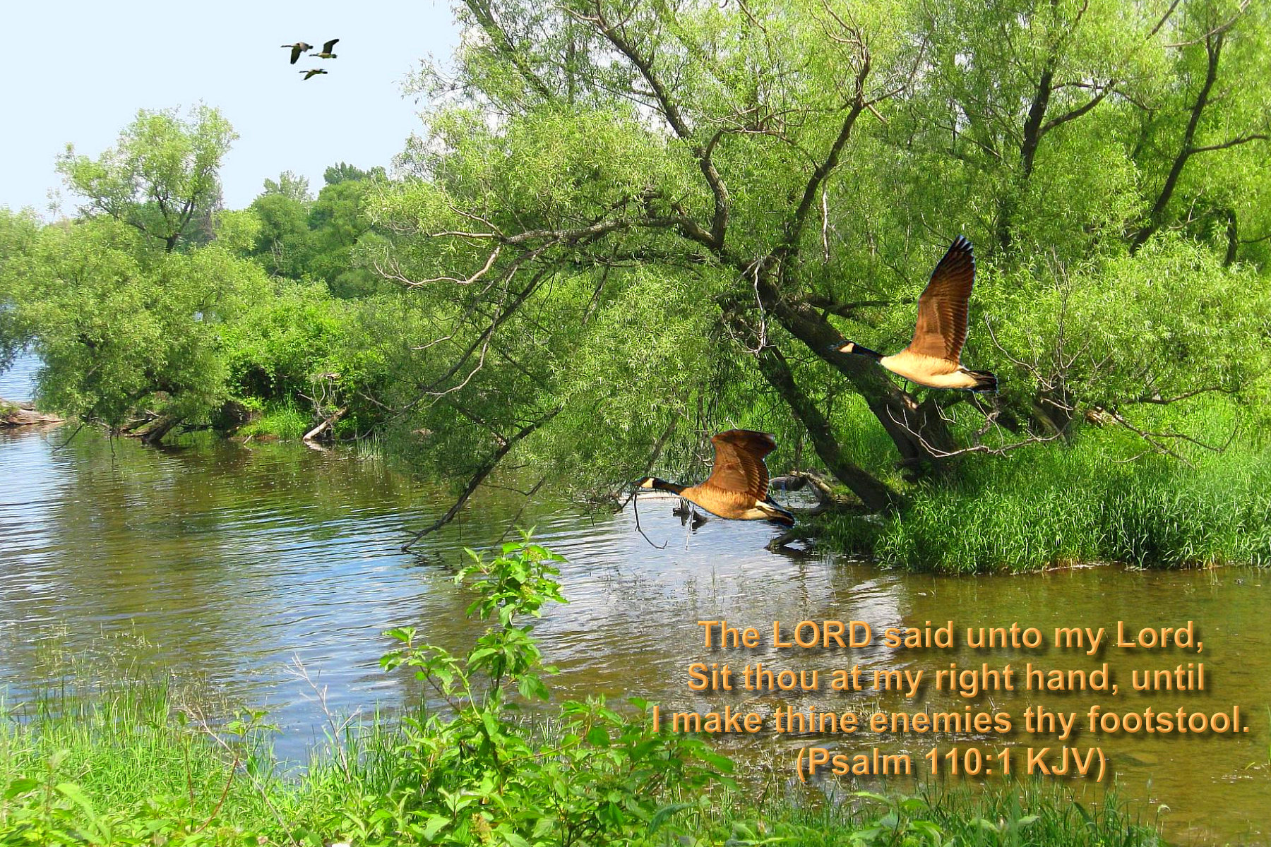BIBLE VERSED WALLPAPER CLICK ON IMAGE TO SEE FULL SIZE, TO COPY AS WELL