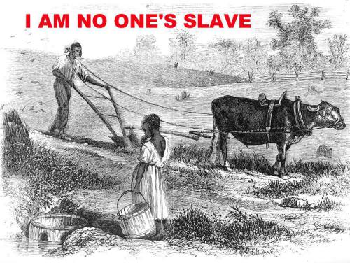no-slavery
